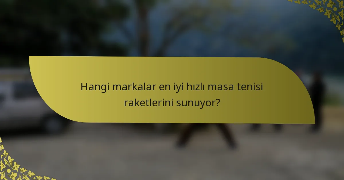 Hangi markalar en iyi hızlı masa tenisi raketlerini sunuyor?
